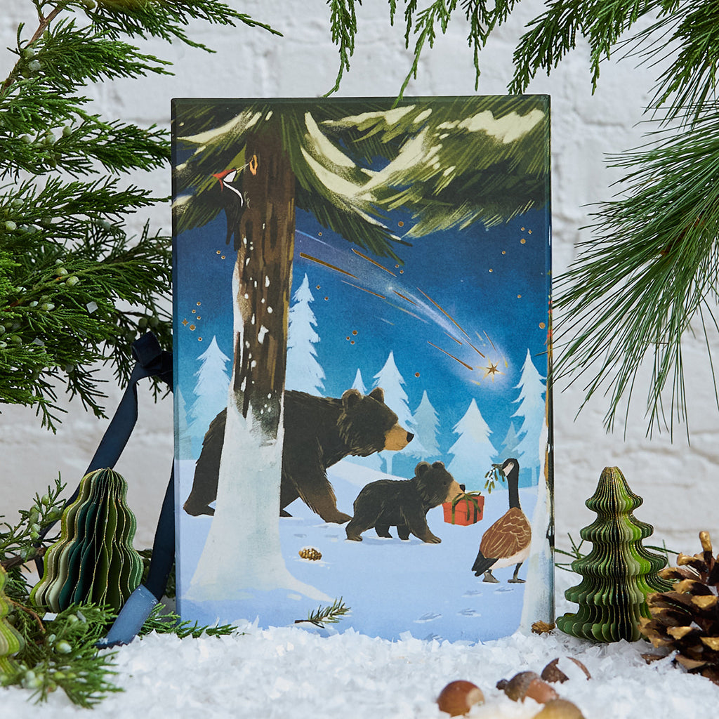 Woodland Minis Advent Calendar