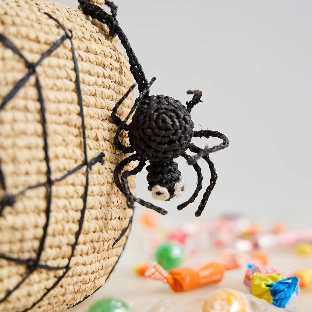 Spider Basket