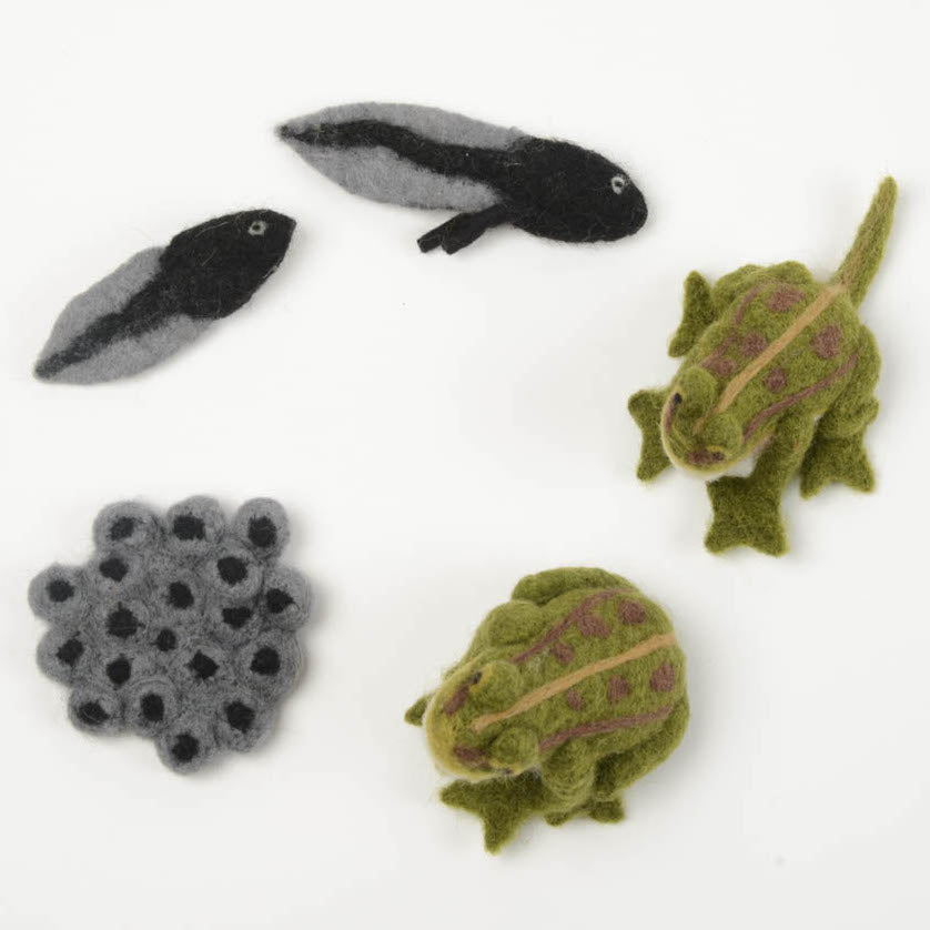 Cycle Frog Learning Kit