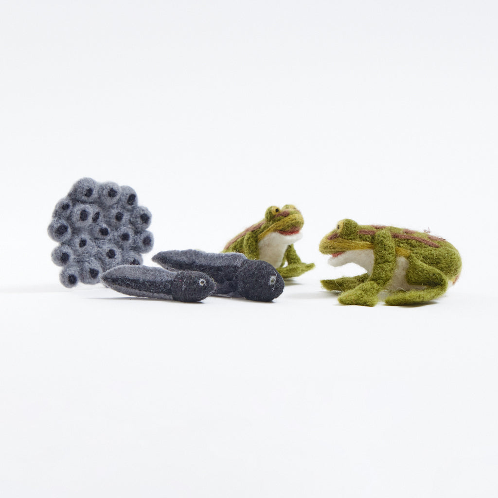 Cycle Frog Learning Kit