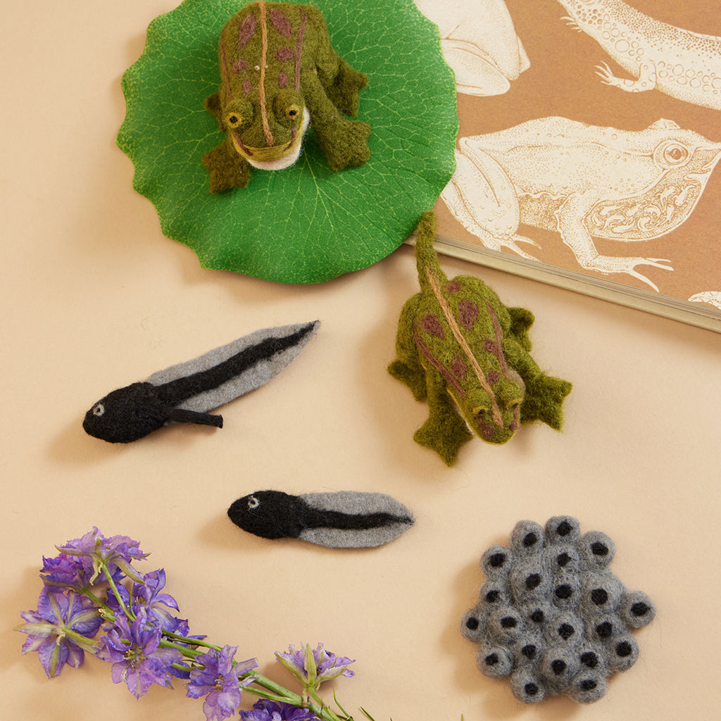 Cycle Frog Learning Kit
