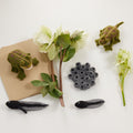 Cycle Frog Learning Kit